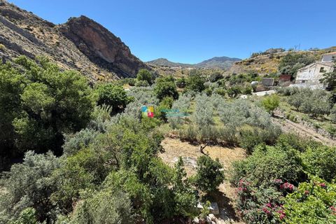 Landejendom i Albanchez, Almeria, Albanchez - € 112.000 | Ref: 2936 - foto 33