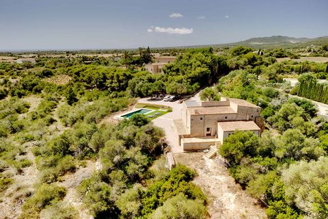 Landejendom i Manacor, Mallorca, Manacor - € 2.250.000 | Ref: 5530800 - LF1039 - foto 22