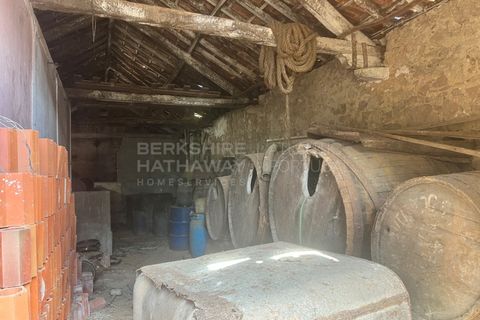 Farm i Vidais, Leiria, Vidais - € 220.000 | Ref: SS_0094 - foto 5