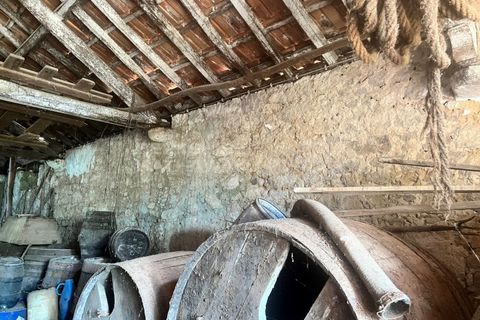Farm i Vidais, Leiria, Vidais - € 220.000 | Ref: SS_0094 - foto 8