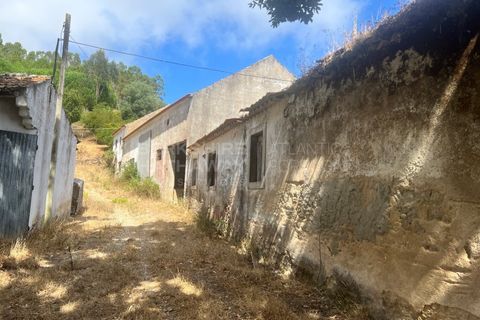 Farm i Vidais, Leiria, Vidais - € 220.000 | Ref: SS_0094 - foto 9