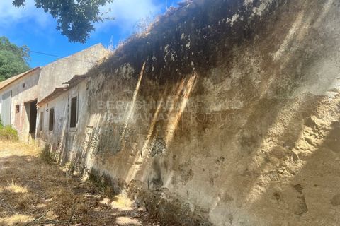 Farm i Vidais, Leiria, Vidais - € 220.000 | Ref: SS_0094 - foto 10