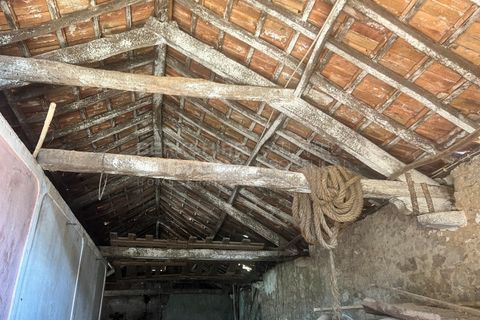 Farm i Vidais, Leiria, Vidais - € 220.000 | Ref: SS_0094 - foto 11
