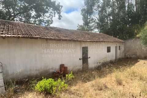 Farm i Vidais, Leiria, Vidais - € 220.000 | Ref: SS_0094 - foto 13