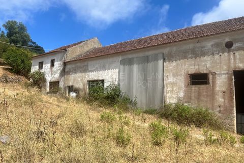 Farm i Vidais, Leiria, Vidais - € 220.000 | Ref: SS_0094 - foto 14
