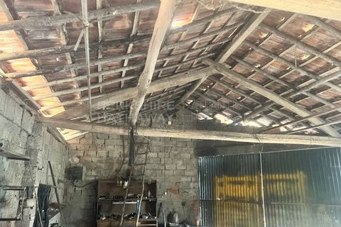 Farm i Vidais, Leiria, Vidais - € 220.000 | Ref: SS_0094 - foto 15