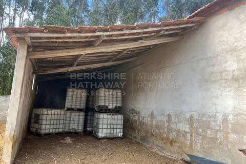 Farm i Vidais, Leiria, Vidais - € 220.000 | Ref: SS_0094 - foto 16