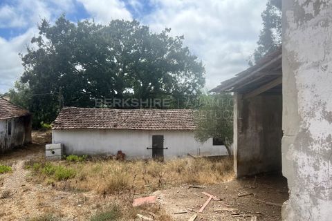 Farm i Vidais, Leiria, Vidais - € 220.000 | Ref: SS_0094 - foto 17