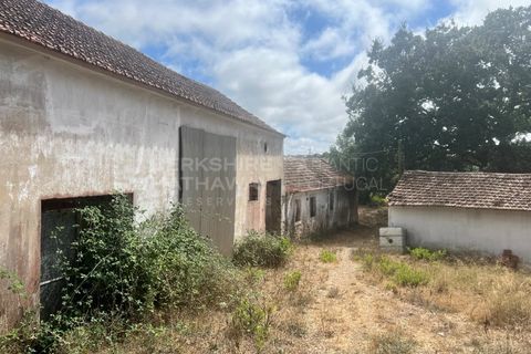 Farm i Vidais, Leiria, Vidais - € 220.000 | Ref: SS_0094 - foto 18