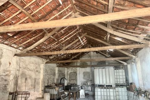 Farm i Vidais, Leiria, Vidais - € 220.000 | Ref: SS_0094 - foto 20