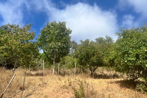 Farm i Vidais, Leiria, Vidais - € 220.000 | Ref: SS_0094 - foto 21