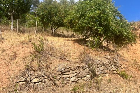Farm i Vidais, Leiria, Vidais - € 220.000 | Ref: SS_0094 - foto 22