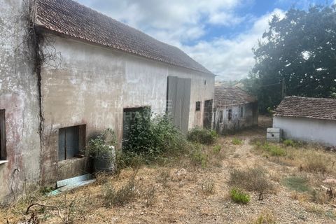 Farm i Vidais, Leiria, Vidais - € 220.000 | Ref: SS_0094 - foto 23