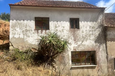 Farm i Vidais, Leiria, Vidais - € 220.000 | Ref: SS_0094 - foto 24