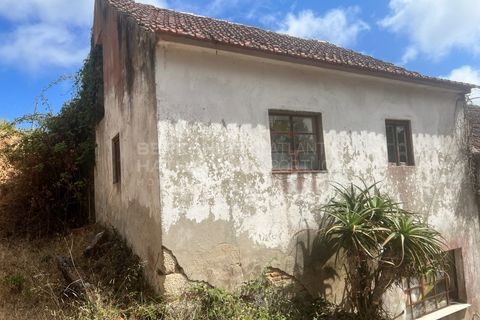 Farm i Vidais, Leiria, Vidais - € 220.000 | Ref: SS_0094 - foto 25