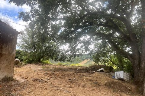 Farm i Vidais, Leiria, Vidais - € 220.000 | Ref: SS_0094 - foto 26