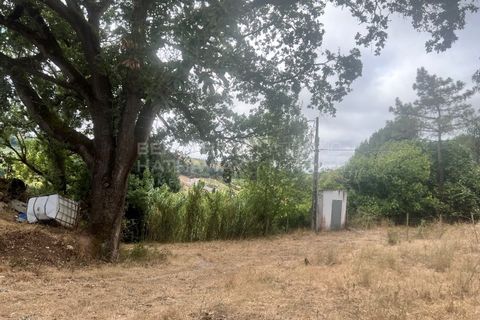 Farm i Vidais, Leiria, Vidais - € 220.000 | Ref: SS_0094 - foto 27