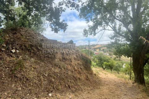 Farm i Vidais, Leiria, Vidais - € 220.000 | Ref: SS_0094 - foto 28