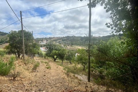 Farm i Vidais, Leiria, Vidais - € 220.000 | Ref: SS_0094 - foto 29
