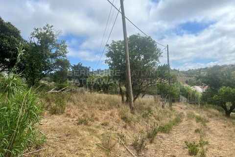 Farm i Vidais, Leiria, Vidais - € 220.000 | Ref: SS_0094 - foto 30