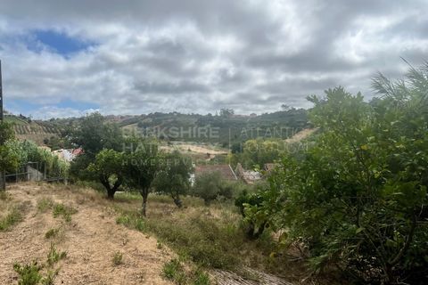 Farm i Vidais, Leiria, Vidais - € 220.000 | Ref: SS_0094 - foto 31