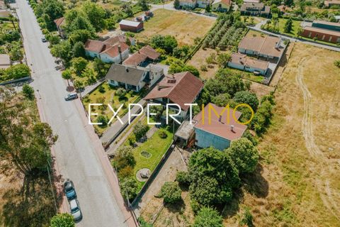 Villa a Mortagua, Viseu, Mortagua - € 345.000 | Ref: MOR_2914_ASIL - foto 33