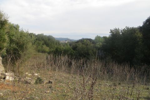Helårsgrund i Arta, Mallorca, Arta - € 110.000 | Ref: 40703B - foto 1
