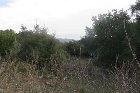Helårsgrund i Arta, Mallorca, Arta - € 110.000 | Ref: 40703B - foto 2