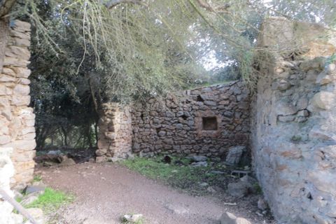 Helårsgrund i Arta, Mallorca, Arta - € 110.000 | Ref: 40703B - foto 3