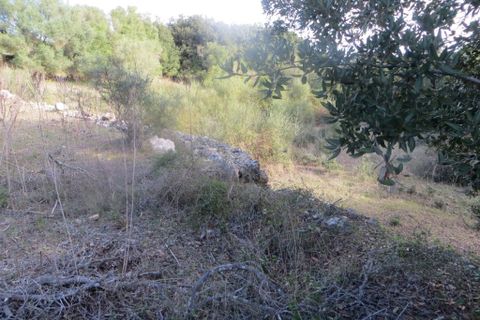 Helårsgrund i Arta, Mallorca, Arta - € 110.000 | Ref: 40703B - foto 4
