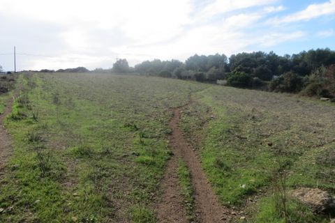 Helårsgrund i Arta, Mallorca, Arta - € 110.000 | Ref: 40703B - foto 5