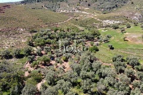Finca i Lanjaron, Granada, Lanjaron - € 55.000 | Ref: LLW-Finca La Mina - foto 12