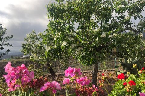 Villa a Tijoco Alto, Tenerife, Tijoco Alto - € 750.000 | Ref: PP2621 - foto 25