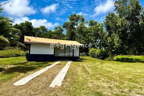 Landejendom i Sinnamary, French Guiana, Sinnamary - € 450.000 | Ref: 204602 - foto 11