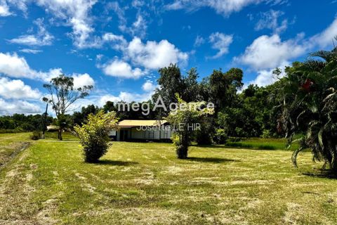 Landejendom i Sinnamary, French Guiana, Sinnamary - € 450.000 | Ref: 204602 - foto 12