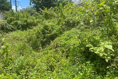 Terra a Les Abymes, Guadeloupe, Les Abymes - € 64.280 | Ref: 202736 - foto 2