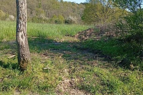Terra a Cusset, Allier, Cusset - € 70.000 | Ref: 203466 - foto 3