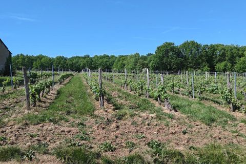 Masia a Lembras, Dordogne, Lembras - € 739.579 | Ref: 202588 - foto 7