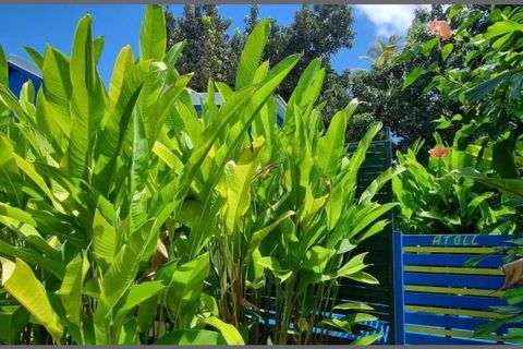 Villa a Sainte-Anne, Guadeloupe, Sainte-Anne - € 186.000 | Ref: 191649 - foto 5