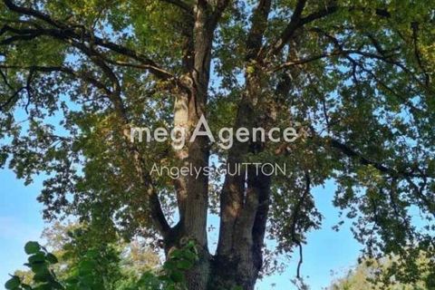 Terra a Conge-Sur-Orne, Sarthe, Conge-Sur-Orne - € 39.000 | Ref: 202363 - foto 11