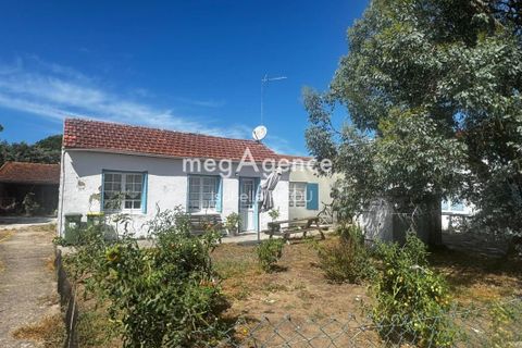 Villa a Dolus-d'Oleron, Charente-Maritime, Dolus-d'Oleron - € 360.000 | Ref: 202689 - foto 3