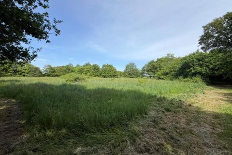 Villa i Val d'Oust, Morbihan, Val d'Oust - € 478.400 | Ref: 202472 - foto 14