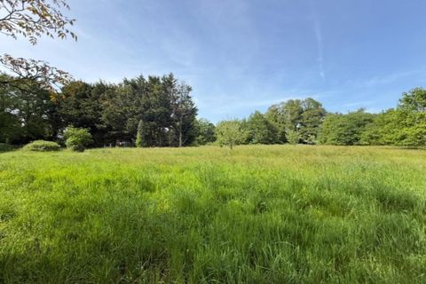 Villa i Val d'Oust, Morbihan, Val d'Oust - € 478.400 | Ref: 202472 - foto 16