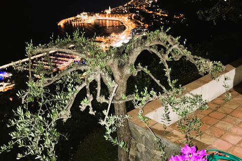 Villa i Menton, Alpes-Maritimes, Menton - € 850.000 | Ref: 87043116 - foto 34