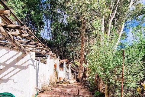 Villa a Monchique, Faro, Monchique - € 450.000 | Ref: C0531-00013 - foto 6