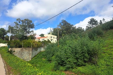 Villa a Monchique, Faro, Monchique - € 450.000 | Ref: C0531-00013 - foto 8