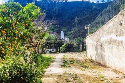 Villa a Monchique, Faro, Monchique - € 450.000 | Ref: C0531-00013 - foto 18