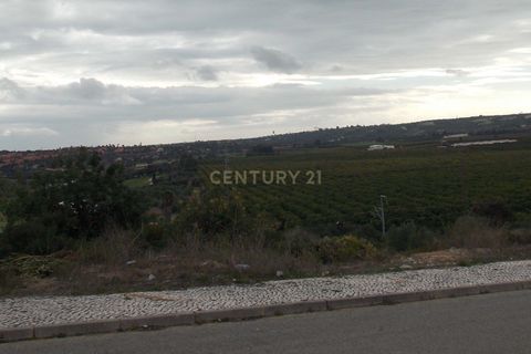 Villa a Alcantarilha, Faro, Alcantarilha - € 575.000 | Ref: C0531-00041 - foto 4