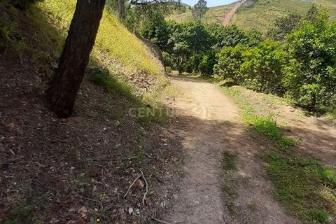 Villa a Monchique, Faro, Monchique - € 750.000 | Ref: C0531-00043 - foto 12