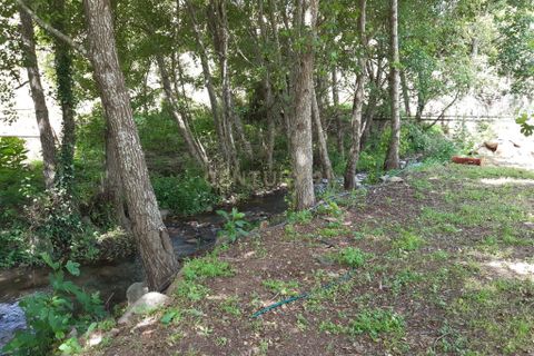Villa a Monchique, Faro, Monchique - € 750.000 | Ref: C0531-00043 - foto 15